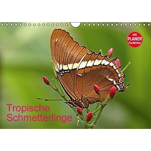 Tropische Schmetterlinge (Wandkalender 2016 DIN A4 quer), Arno Klatt
