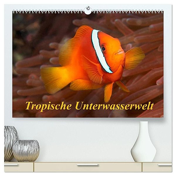 Tropische Unterwasserwelt (hochwertiger Premium Wandkalender 2025 DIN A2 quer), Kunstdruck in Hochglanz, Calvendo, Martin Rauchenwald