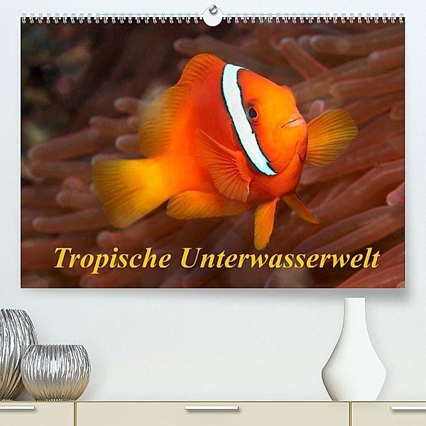 Tropische Unterwasserwelt (Premium, hochwertiger DIN A2 Wandkalender 2023, Kunstdruck in Hochglanz), Martin Rauchenwald
