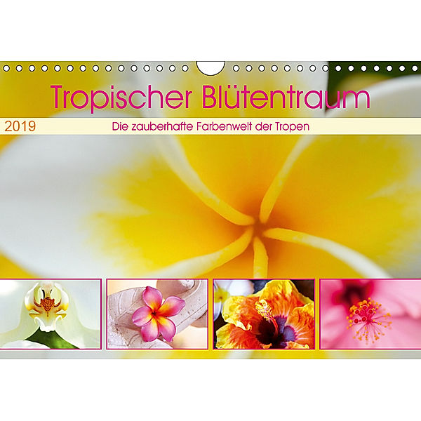 Tropischer Blütentraum (Wandkalender 2019 DIN A4 quer), Travelpixx. com
