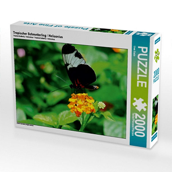 Tropischer Schmetterling / Heliconius (Puzzle), Uwe Bade