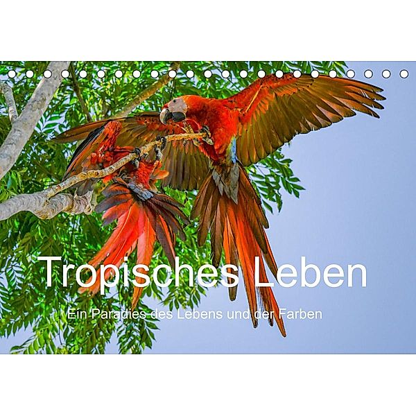 Tropisches Leben Ein Paradies des Lebens und der Farben (Tischkalender 2023 DIN A5 quer), T. L. Treadway