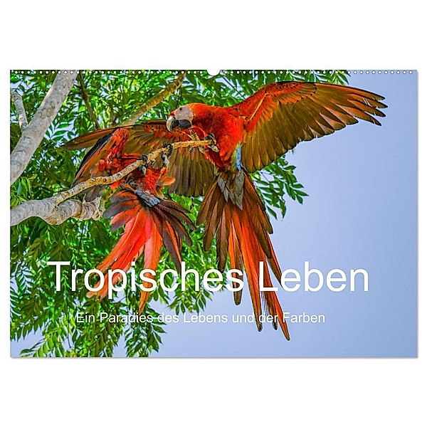 Tropisches Leben Ein Paradies des Lebens und der Farben (Wandkalender 2024 DIN A2 quer), CALVENDO Monatskalender, T. L. Treadway