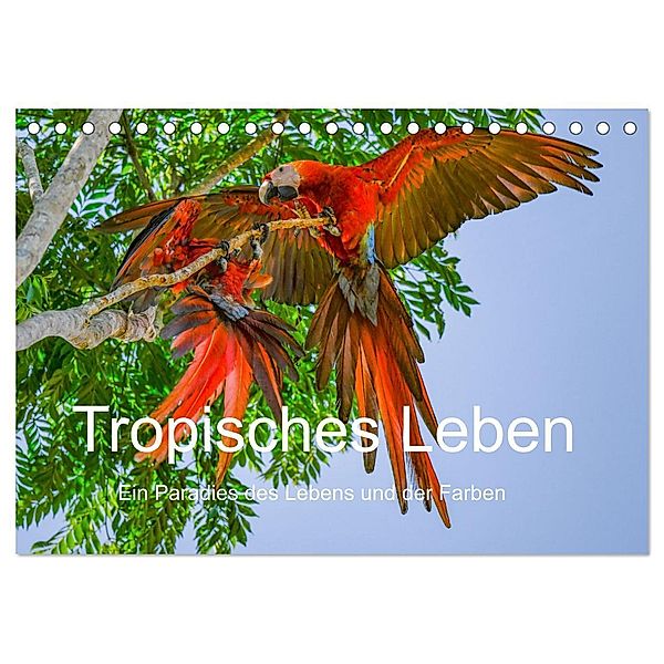 Tropisches Leben Ein Paradies des Lebens und der Farben (Tischkalender 2024 DIN A5 quer), CALVENDO Monatskalender, T. L. Treadway