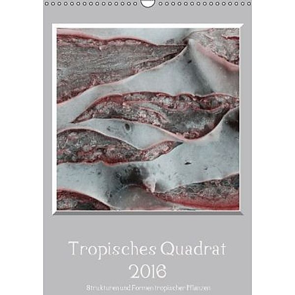 Tropisches Quadrat 2016 - Strukturen und Formen tropischer Pflanzen (Wandkalender 2016 DIN A3 hoch), Kerstin Stolzenburg