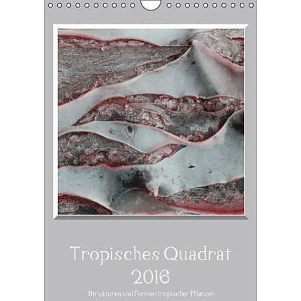 Tropisches Quadrat 2016 - Strukturen und Formen tropischer Pflanzen (Wandkalender 2016 DIN A4 hoch), Kerstin Stolzenburg