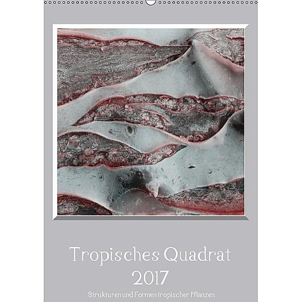 Tropisches Quadrat 2017 - Strukturen und Formen tropischer Pflanzen / CH-Version (Wandkalender 2017 DIN A2 hoch), Kerstin Stolzenburg