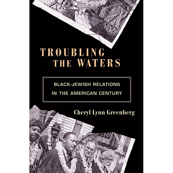 Troubling the Waters / Politics and Society in Modern America, Cheryl Lynn Greenberg