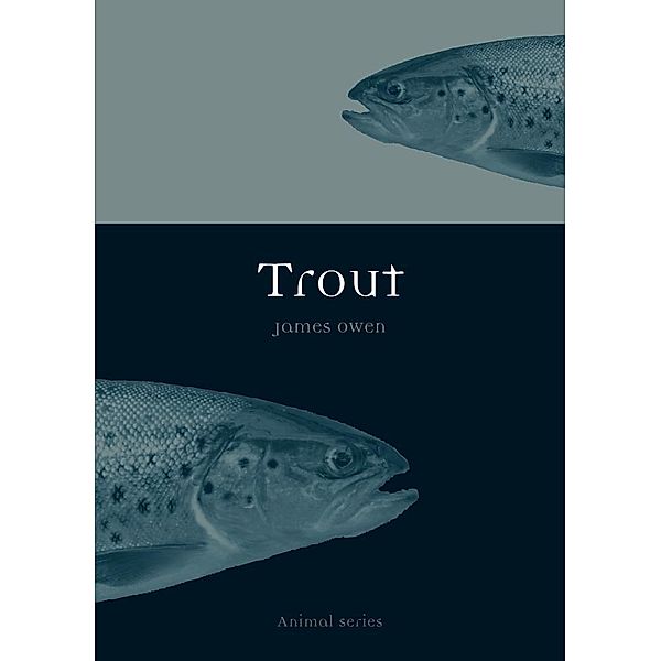 Trout / Animal, Owen James Owen
