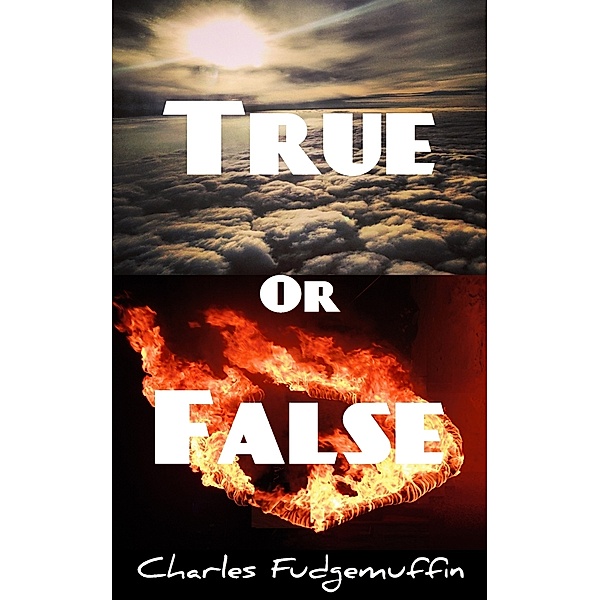 True Or False: A Light-Hearted Collection Of 100 Facts And Bluffs, Charles Fudgemuffin