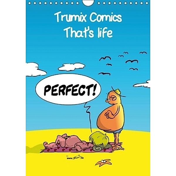Trumix Comics - That's life (Wall Calendar 2017 DIN A4 Portrait), Reinhard Trummer