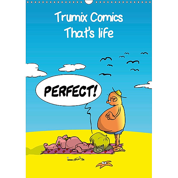 Trumix Comics - That's life (Wall Calendar 2019 DIN A3 Portrait), Trumix