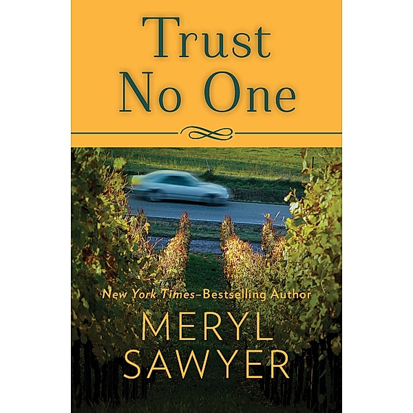 Trust No One, Meryl Sawyer