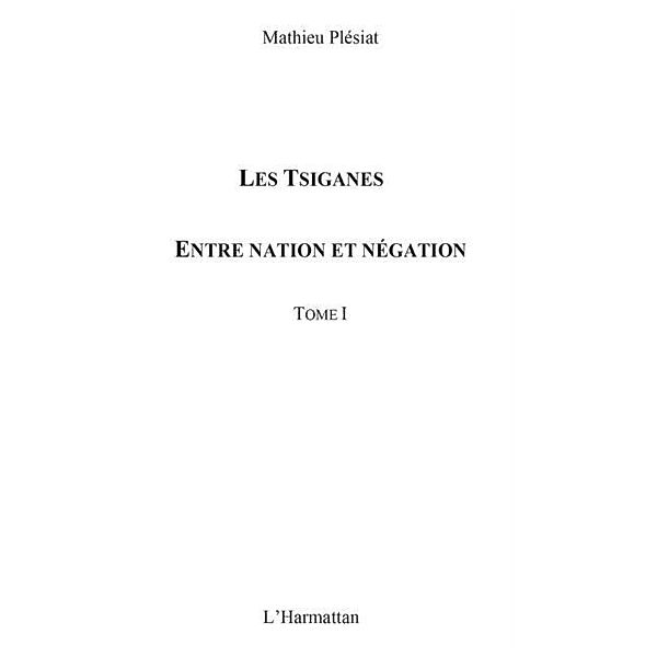 Tsiganes Les  1 / Hors-collection, Mathieu Plesiat