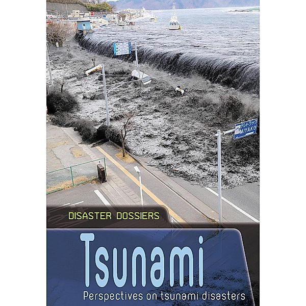 Tsunami, Ian Graham