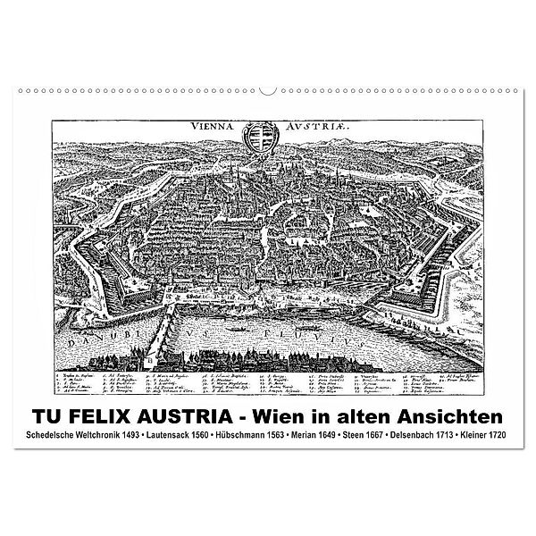 TU FELIX AUSTRIA - Wien in alten Ansichten (Wandkalender 2024 DIN A2 quer), CALVENDO Monatskalender, Claus Liepke