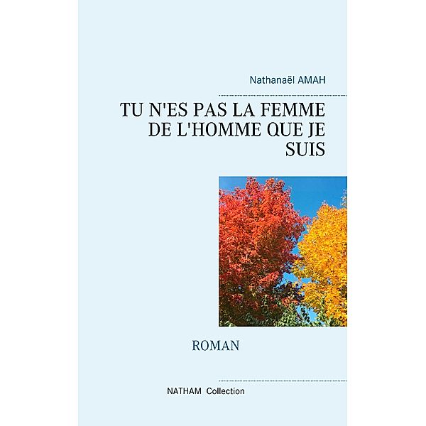 TU N'ES PAS LA FEMME DE L'HOMME QUE JE SUIS, Nathanaël Amah