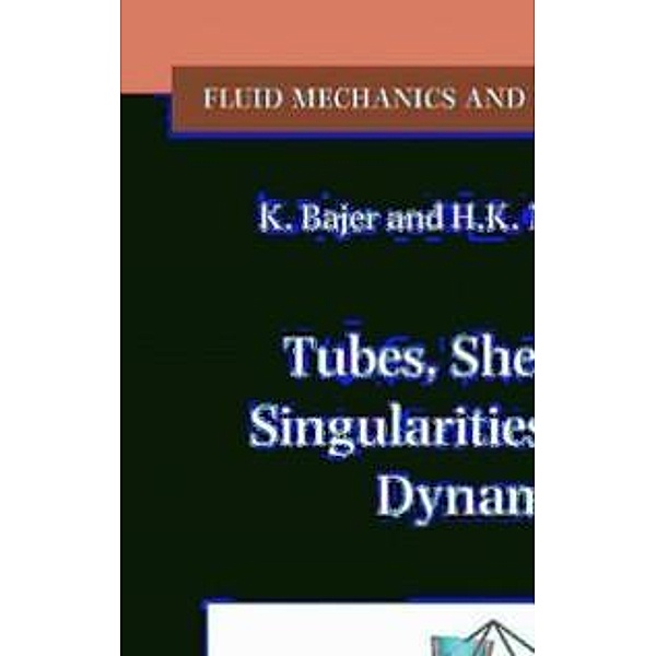 Tubes, Sheets and Singularities in Fluid Dynamics / Fluid Mechanics and Its Applications Bd.71