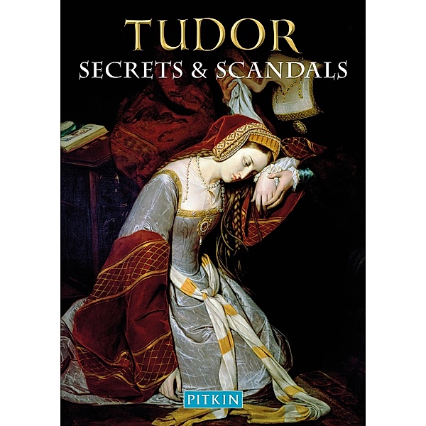 Tudor Secrets & Scandals / Pitkin, Brian Williams