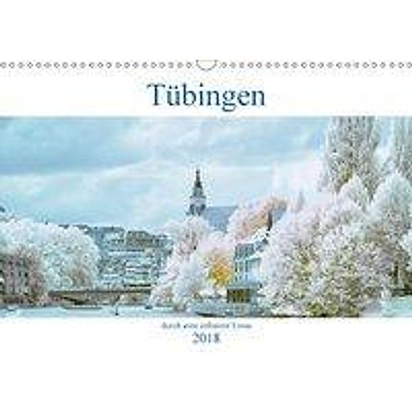 Tübingen durch eine infrarote linse (Wandkalender 2018 DIN A3 quer), Mark Bangert