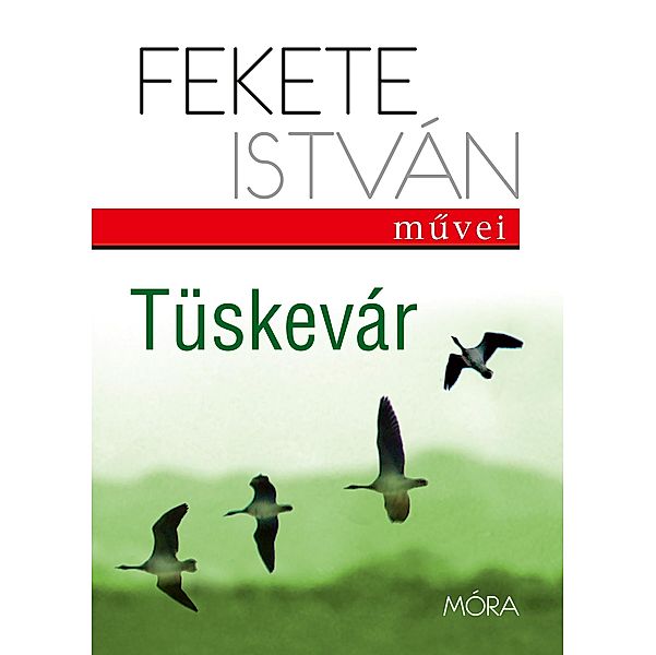 Tüskevár, István Fekete