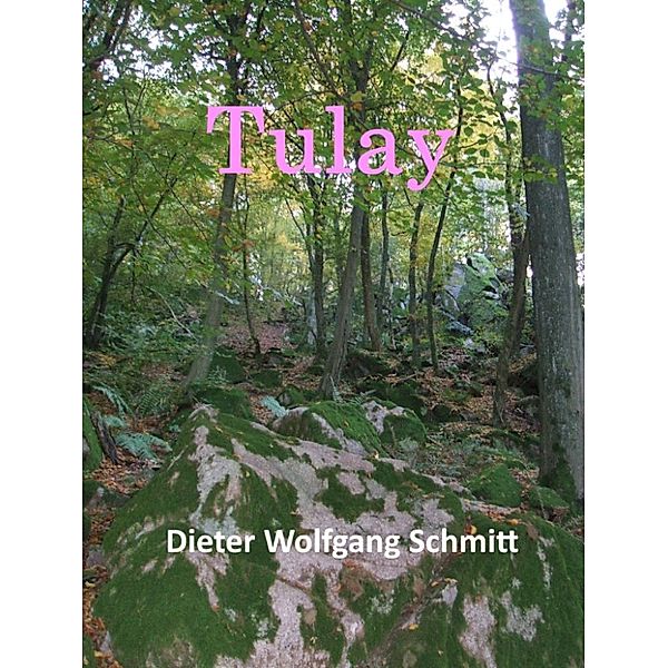 Tulay, Dieter Wolfgang Schmitt