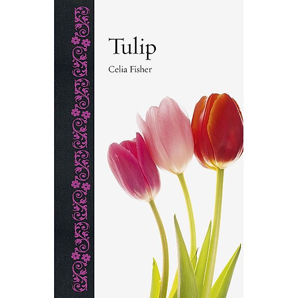 Tulip / Botanical, Fisher Celia Fisher