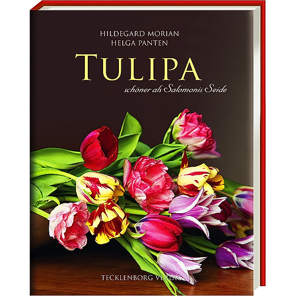 Tulipa, Hildegard Morian, Helga Panten