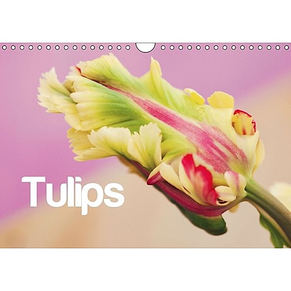 Tulips - English Version (Wall Calendar 2014 DIN A4 Landscape), JUSTART