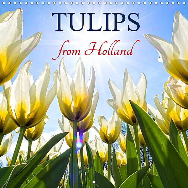 Tulips from Holland (Wall Calendar 2023 300 × 300 mm Square), Henry Jager