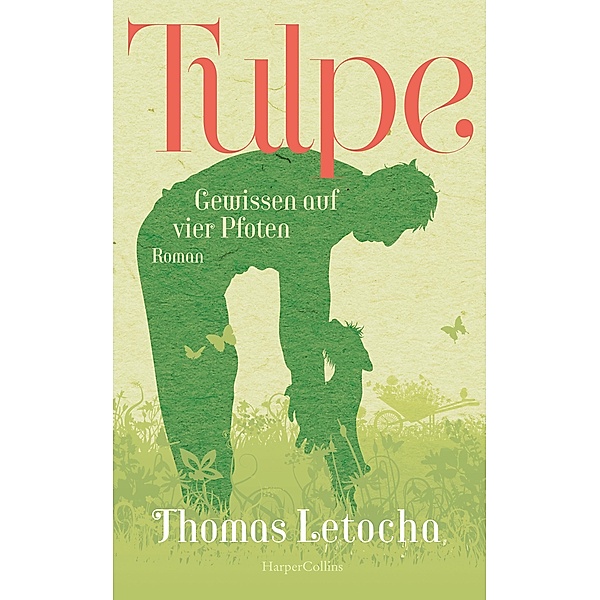 Tulpe, Thomas Letocha