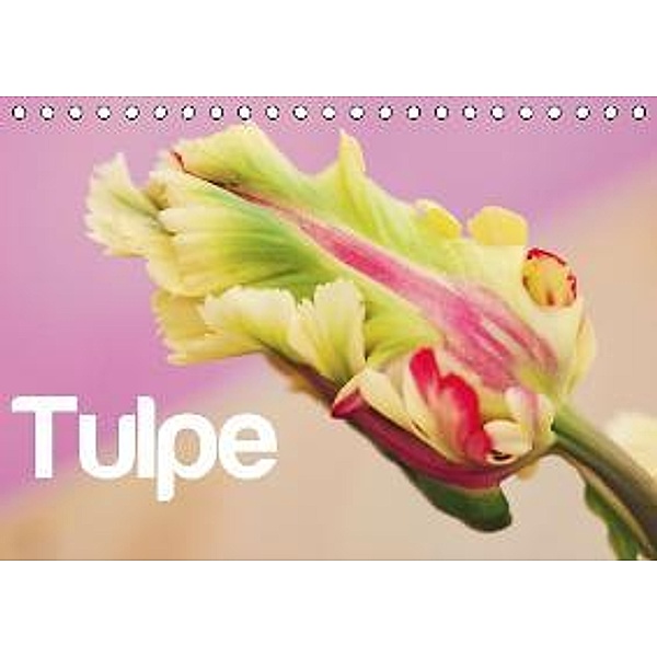 Tulpe / AT-Version (Tischkalender 2015 DIN A5 quer), JUSTART