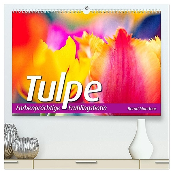 TULPE Farbenprächtige Frühlingsbotin (hochwertiger Premium Wandkalender 2024 DIN A2 quer), Kunstdruck in Hochglanz, Bernd Maertens