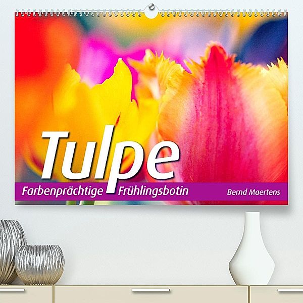 TULPE Farbenprächtige Frühlingsbotin (Premium, hochwertiger DIN A2 Wandkalender 2023, Kunstdruck in Hochglanz), Bernd Maertens
