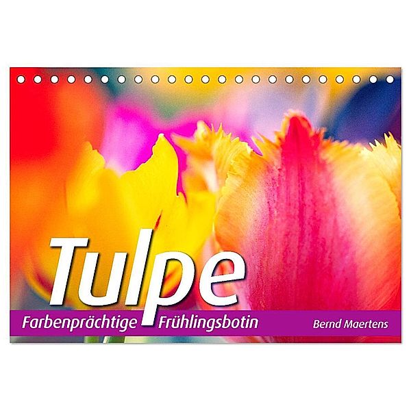 TULPE Farbenprächtige Frühlingsbotin (Tischkalender 2024 DIN A5 quer), CALVENDO Monatskalender, Bernd Maertens