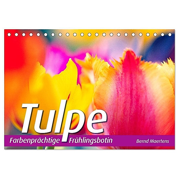 TULPE Farbenprächtige Frühlingsbotin (Tischkalender 2025 DIN A5 quer), CALVENDO Monatskalender, Calvendo, Bernd Maertens