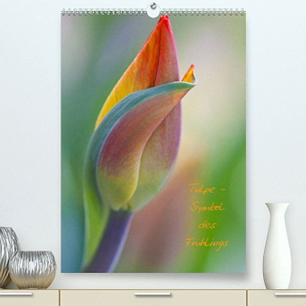 Tulpe - Symbol des Frühlings (Premium, hochwertiger DIN A2 Wandkalender 2022, Kunstdruck in Hochglanz), Marita Kuhlmann