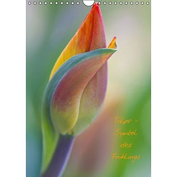 Tulpe - Symbol des Frühlings (Wandkalender 2015 DIN A4 hoch), Marita Kuhlmann