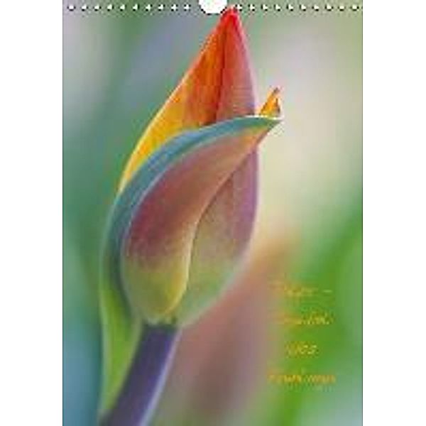Tulpe - Symbol des Frühlings (Wandkalender 2016 DIN A4 hoch), Marita Kuhlmann