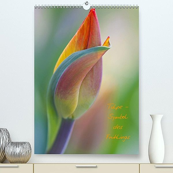 Tulpe - Symbol des Frühlings(Premium, hochwertiger DIN A2 Wandkalender 2020, Kunstdruck in Hochglanz), Marita Kuhlmann