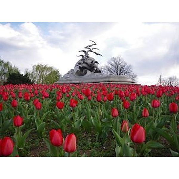 Tulpen - 2.000 Teile (Puzzle)