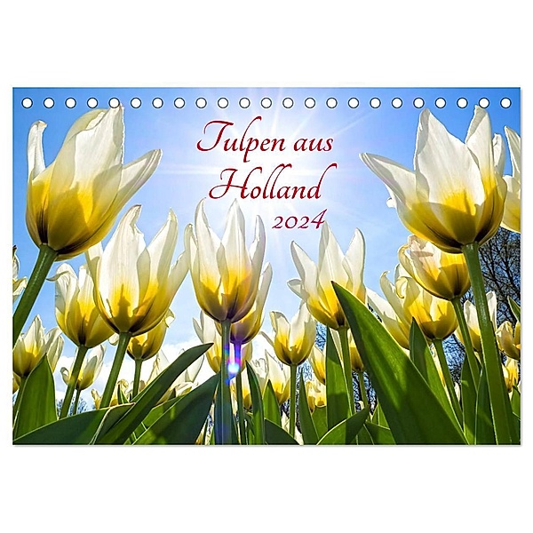 Tulpen aus Holland (Tischkalender 2024 DIN A5 quer), CALVENDO Monatskalender, Henry Jager