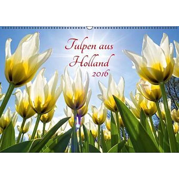 Tulpen aus Holland (Wandkalender 2016 DIN A2 quer), Henry Jager