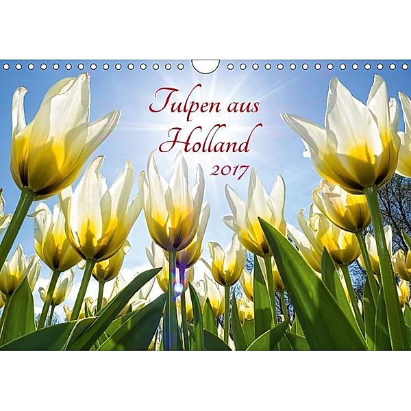 Tulpen aus Holland (Wandkalender 2017 DIN A4 quer), Henry Jager