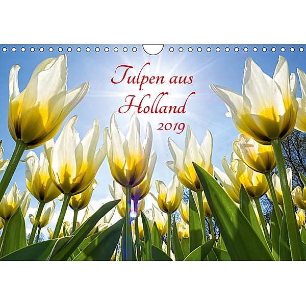 Tulpen aus Holland (Wandkalender 2019 DIN A4 quer), Henry Jager