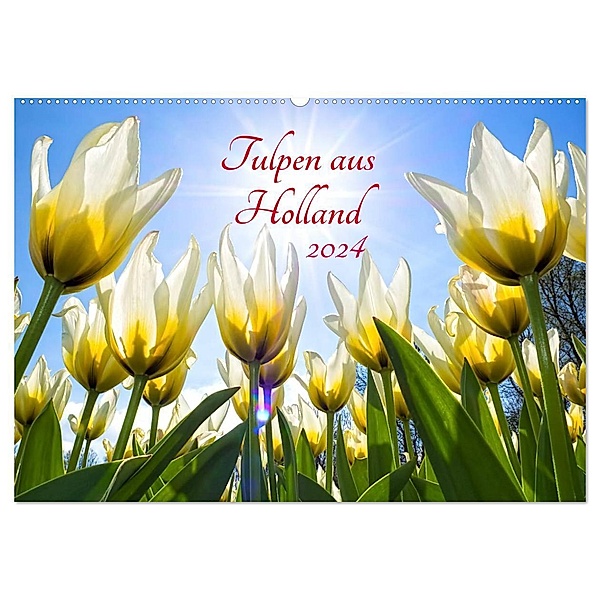 Tulpen aus Holland (Wandkalender 2024 DIN A2 quer), CALVENDO Monatskalender, Henry Jager