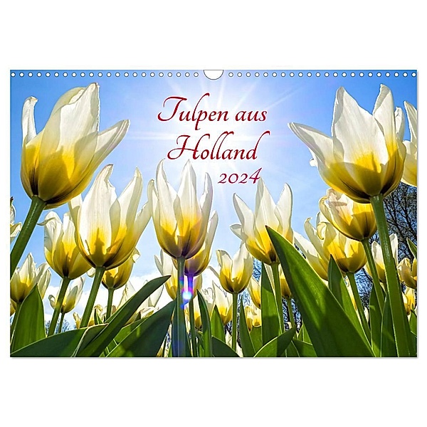 Tulpen aus Holland (Wandkalender 2024 DIN A3 quer), CALVENDO Monatskalender, Henry Jager
