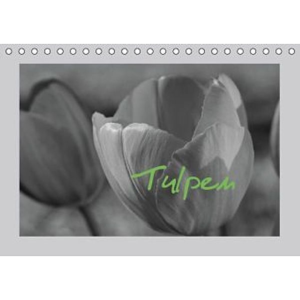 Tulpen - Blumen des Frühlings (Tischkalender 2016 DIN A5 quer), Sabine Reuke