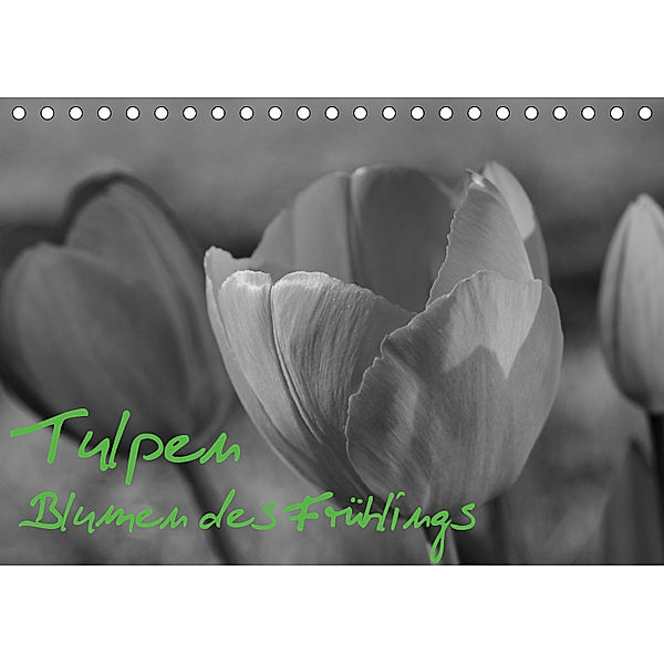 Tulpen - Blumen des Frühlings (Tischkalender 2019 DIN A5 quer), Sabine Reuke