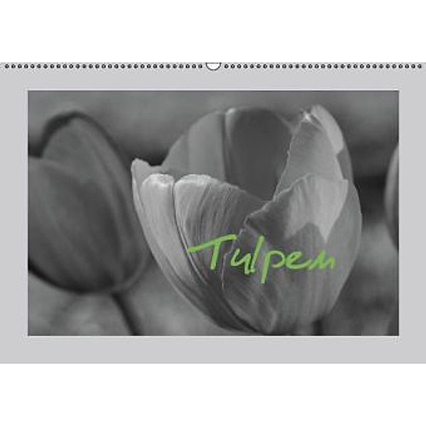 Tulpen - Blumen des Frühlings (Wandkalender 2015 DIN A2 quer), Sabine Reuke